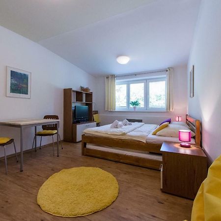 Apartman Lipno 20 伏尔塔瓦河畔利普诺 外观 照片