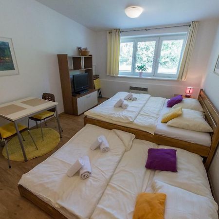 Apartman Lipno 20 伏尔塔瓦河畔利普诺 外观 照片