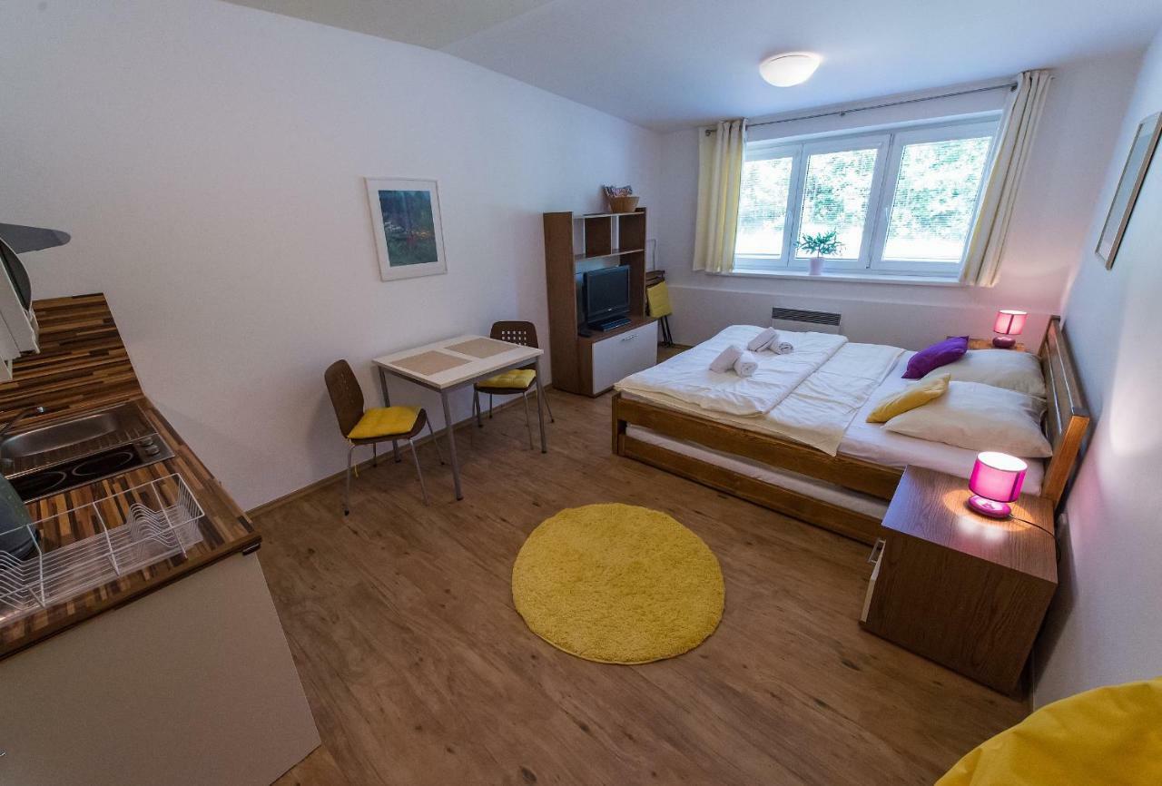 Apartman Lipno 20 伏尔塔瓦河畔利普诺 外观 照片