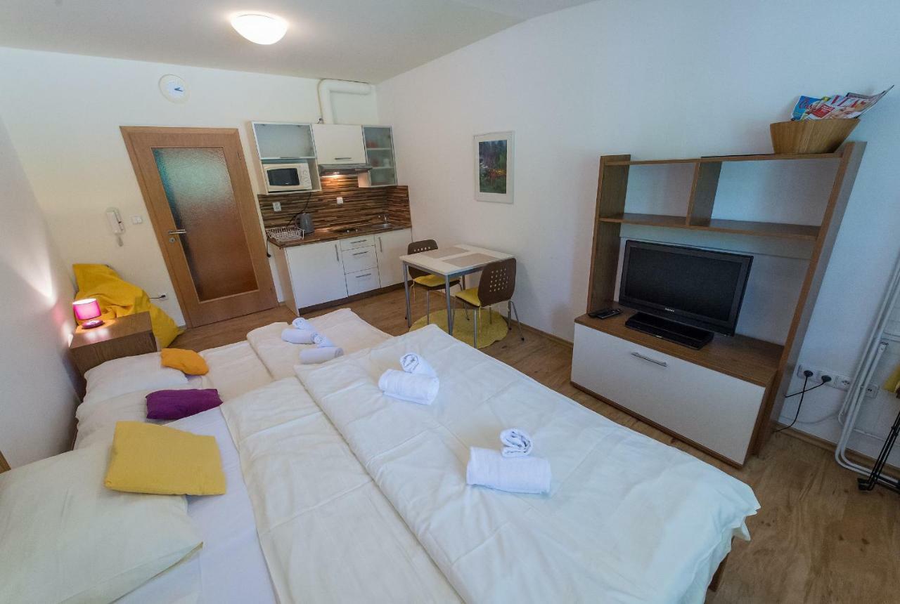Apartman Lipno 20 伏尔塔瓦河畔利普诺 外观 照片