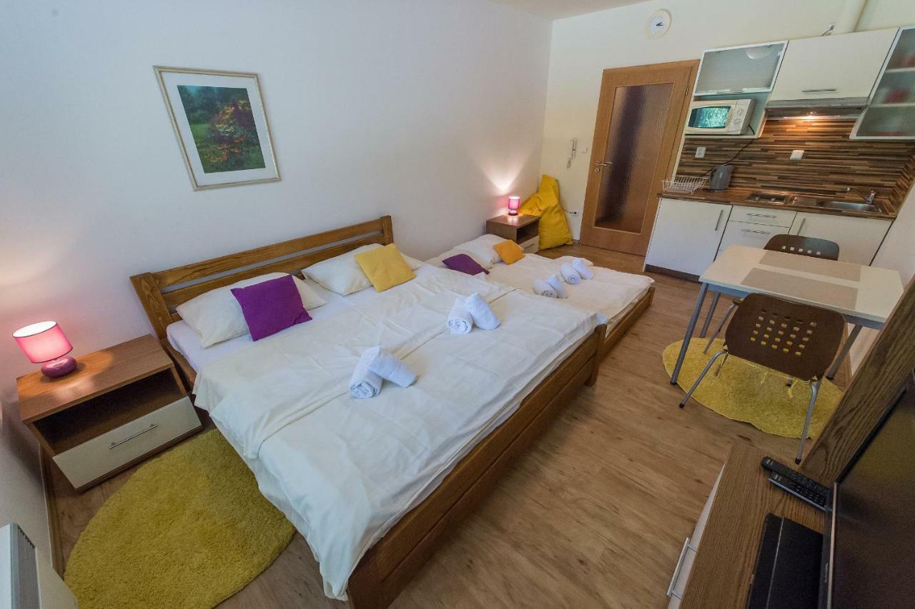 Apartman Lipno 20 伏尔塔瓦河畔利普诺 外观 照片